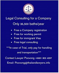 Legal Consulting for a Company